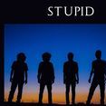 Stupid