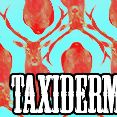 Taxidermia