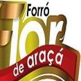 Banda Flor de Araçá