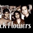 Black Flowers