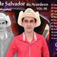 ZÉ DE SALVADOR DO ACORDEON