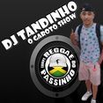 DJ TANDINHO GAROTO SHOW