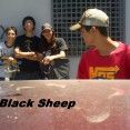 black_sheep