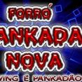 FORRÓ PANKADA NOVA