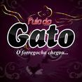 Pulo do gato