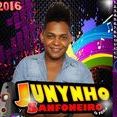 Junynho Sanfoneiro