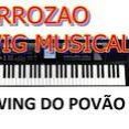 FORROZAO SWING MUSICAL