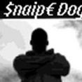 Snaipe D.G.