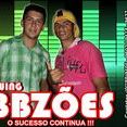 SWING BBZÕES