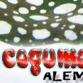 Cogumelo Alemão