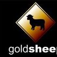 Gold Sheep