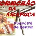 O FORROZÃO DA ARAPUCA