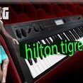 hilton tigre 2016