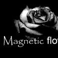 Magnetic Flower