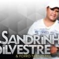 Sandrinho Silvestre & Forró Taca o Pau