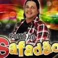 Forró do Safadão Oficial