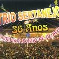 trio Sertanejo