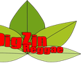 DigZin Reggae