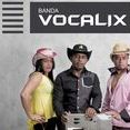 banda vocalix vol.3