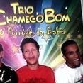 Trio Chamego Bom