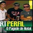 ARTPERFIL banda