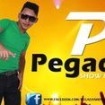 PEGADA SHOW DOS PLAYS OFICIAL