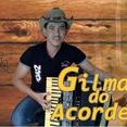 gilmar do acordeon e falcão real