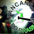 Pancanejos do Brasil