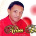 Nelson Dileno - Amor Sem Limite