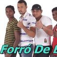 FORRO DE BOA VOL-02 PROM... 2013