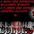 ARTIGO SONORO