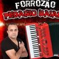 forrozao pedagio baiano