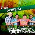 Grupo Viola Universitaria