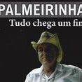 Palmeirinha