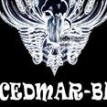 CEDMAR-BR