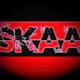 Skaa