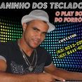 BAIANINHO DOS TECLADOS - O PLAY BOY