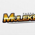 Farra Dos Mulekes