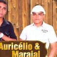 Auricélio e Maraial