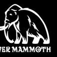 artist image Silver Mammoth