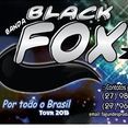 BANDA BLACK FOX
