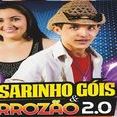 PASSARINHO GÓIS & FORROZÃO 2.0