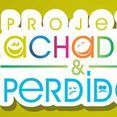 Projeto Achados & Perdidos