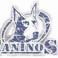 Caninos