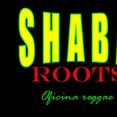 Shabaroots Reggae