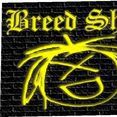 Imagem do artista Breed Sheep