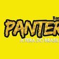 Banda Pantera