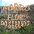 Forró Flor Do Serrado