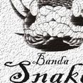 Banda Snakes