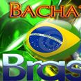 Bachata Brasil
